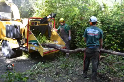tree services Indianola